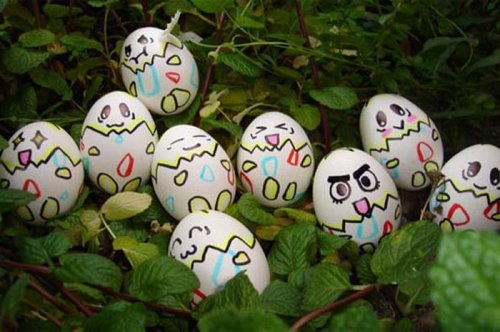 Çılgın yumurtalar