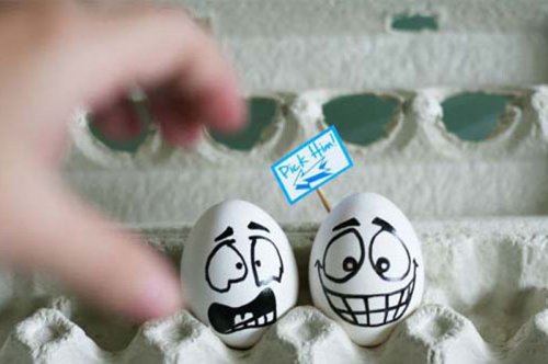 Çılgın yumurtalar