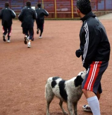 Yurdum insanı bambaşka