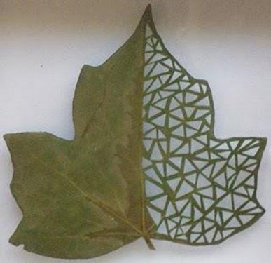 Yaprakları dantel gibi işlediler