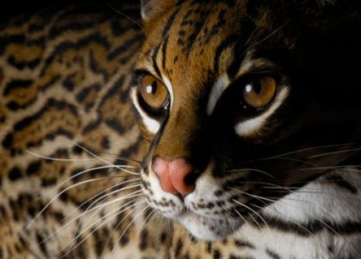 Dünyanın 150 yıl sonraki hali