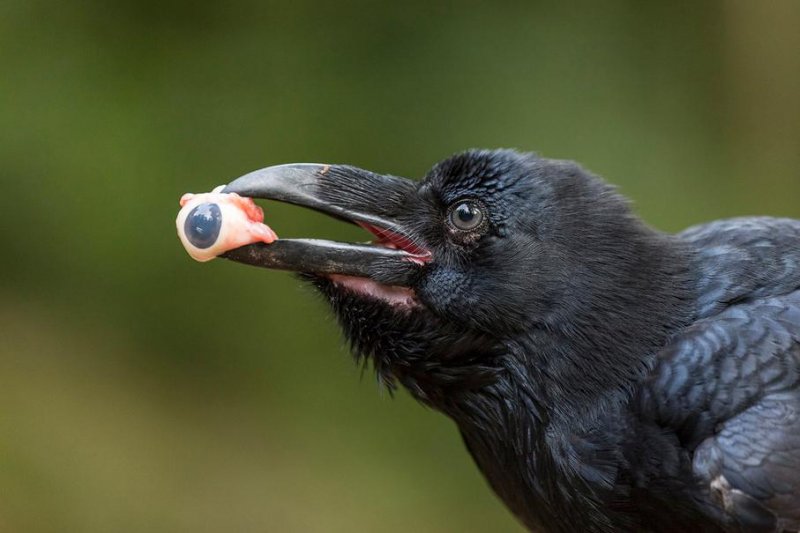 Alman fotoğrafçı Klaus Tamm'ın objektifinden inanılmaz fotoğraflar 