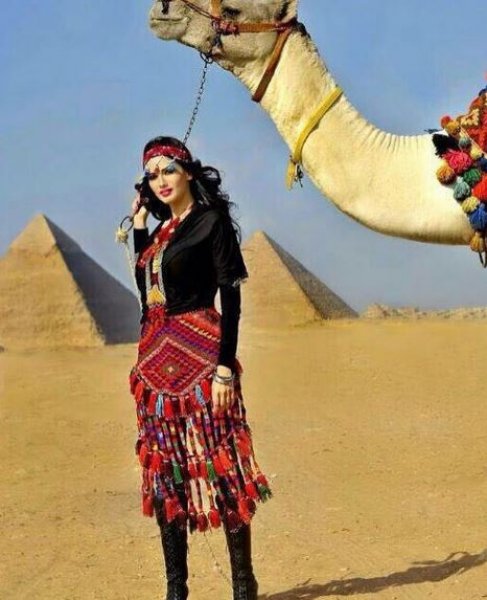 Erdoğan Murat Yıldırım'a Fas'tan kız istedi