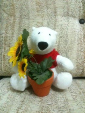 Doğuş'un çıplak fotoğrafı olay oldu