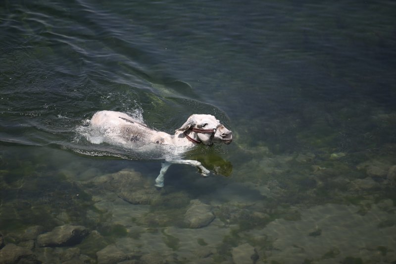 İnbaşı mağaraları ziyaretçilerini bekliyor