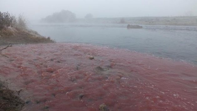 Simav Çayı kan ağlıyor