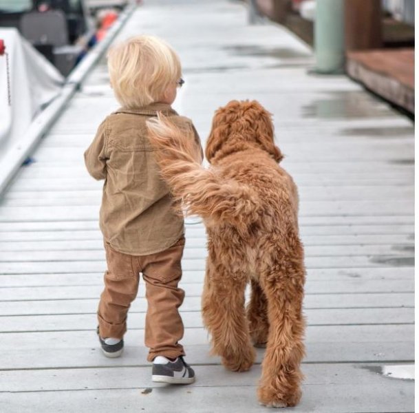 3 yaşındaki Buddy ve en yakın dostu aynı kaderi paylaşıyor
