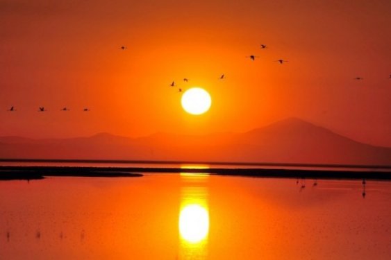 İç Anadolu'da bir mucize