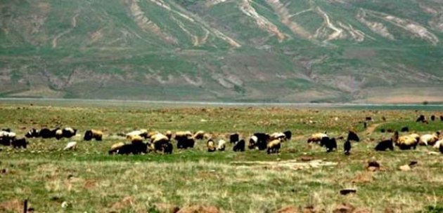 Peygamberlerin meslekleri