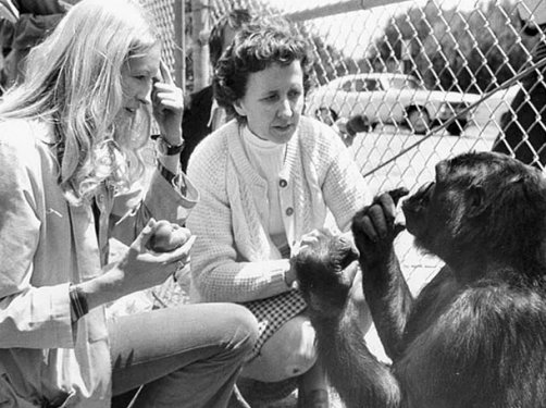 Hayvanların insanlara olan 14 benzerliği şaşırtıyor