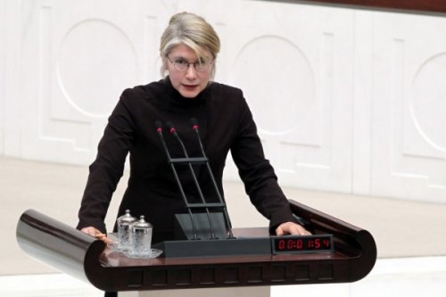 AK Parti'li Salim Uslu Kamer Genç'i Meclis kürsüsünden itti