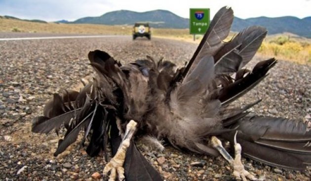 İşte dünyanın en zor meslekleri 