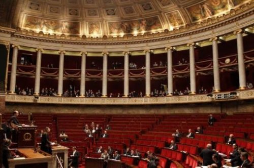 Soykırımı inkar yasasına deri ceketle geldi 