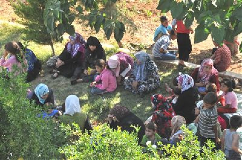 Suriyeli sığınmacılardan Türkiye'ye teşekkür