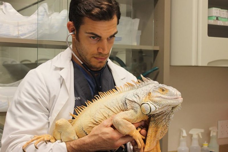 Instagram'ın en sevilen veterineri Evan Antin.