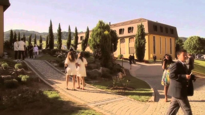 Dünyanın en pahalı okulu  İsviçre'de bulunuyor 