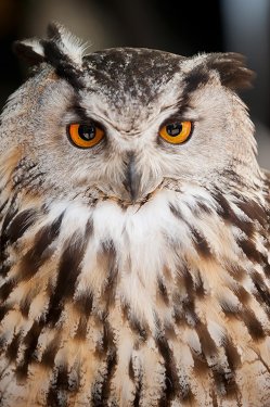 Süper manzara fotoğrafları