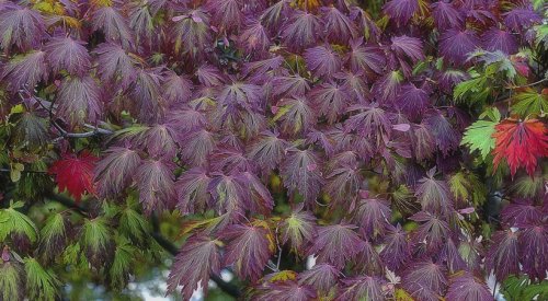 Süper manzara fotoğrafları