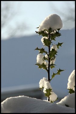 Süper manzara fotoğrafları