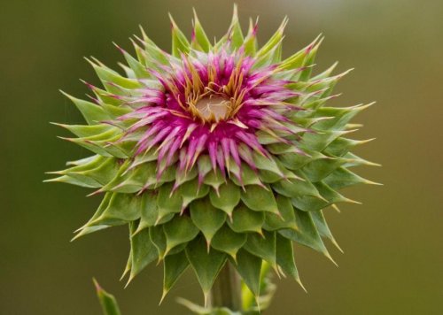 Süper manzara fotoğrafları