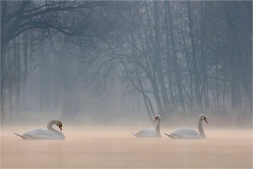Süper manzara fotoğrafları