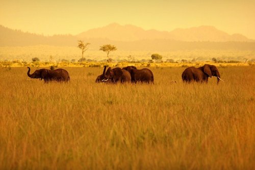 Süper manzara fotoğrafları