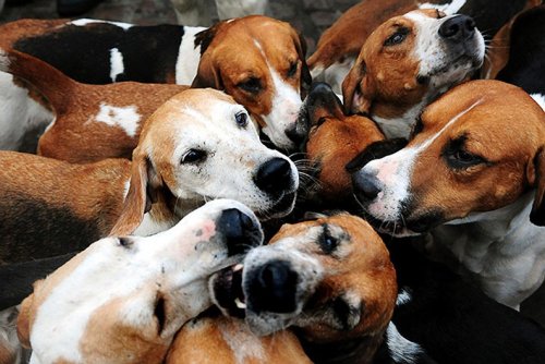 Süper manzara fotoğrafları