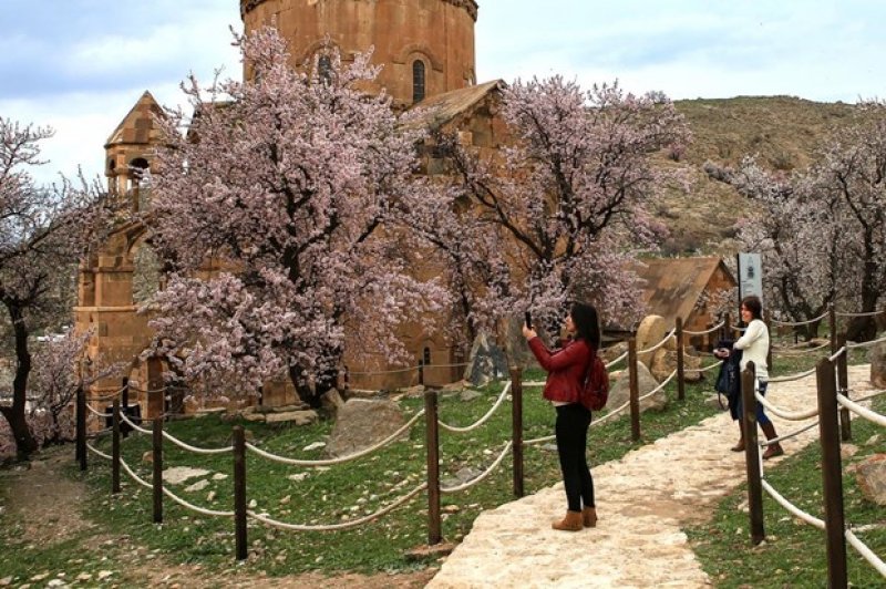 Akdamar Adası çiçekleriyle büyülüyor
