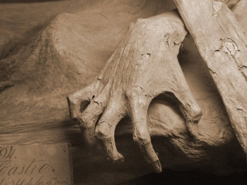 Çin'de 300 yıllık mumya bulundu