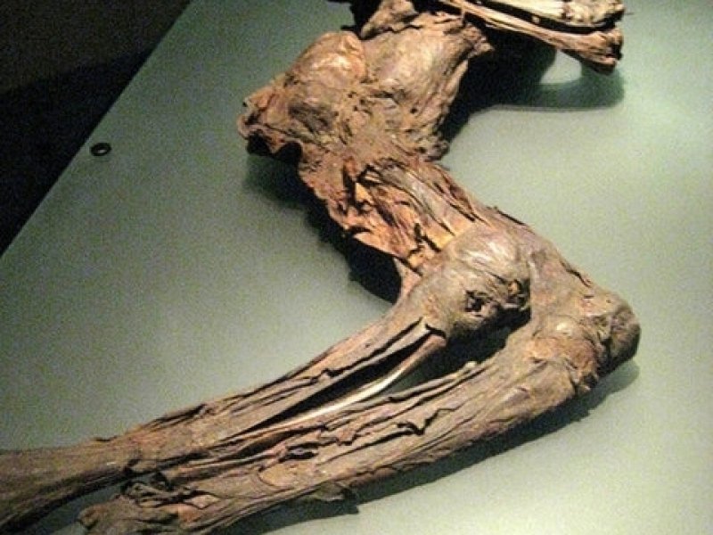 Çin'de 300 yıllık mumya bulundu