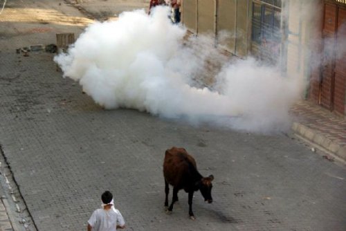 Silopi'de Hatip Dicle protestosu
