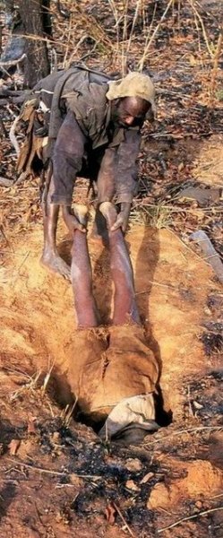 Afrikalı avcı pitonu eliyle yakaladı