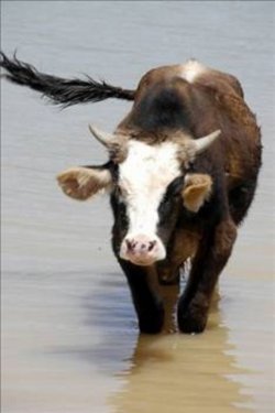 Kimsenin bilmediği şaşırtıcı gerçekler