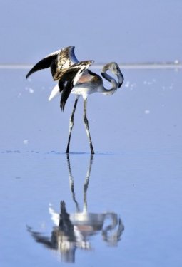 İç Anadolu'da bir mucize