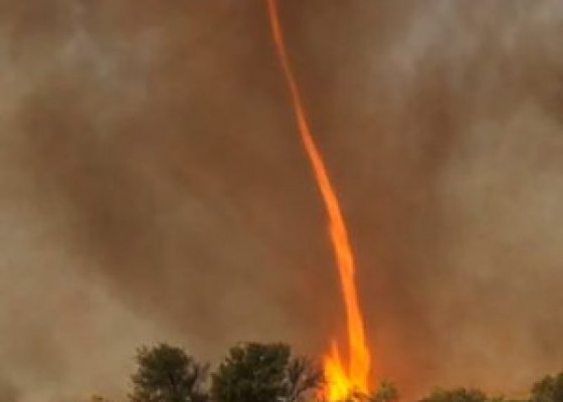 Nadir görülen doğa olayları 