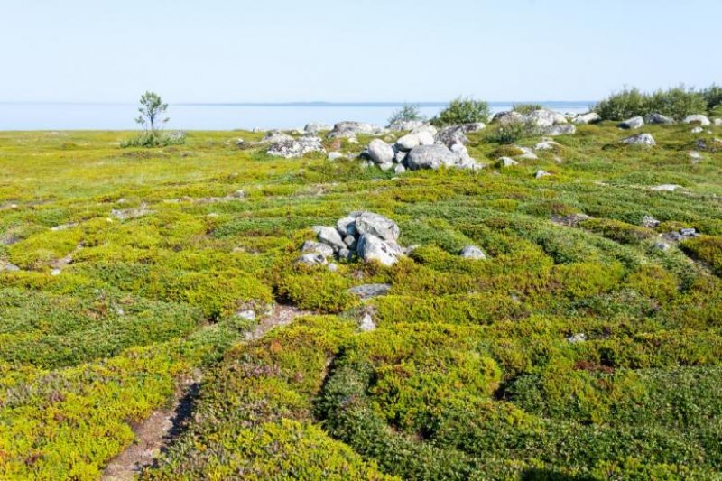 İnsan gücünü zorlayan 11 mimari yapı 