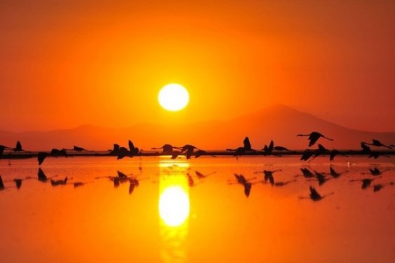 İç Anadolu'da bir mucize