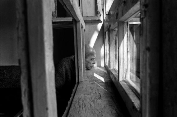 Savaşın insanlar üzerindeki korkunç etkisi