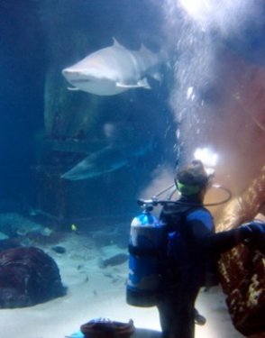 İşte dünyanın en zor meslekleri 