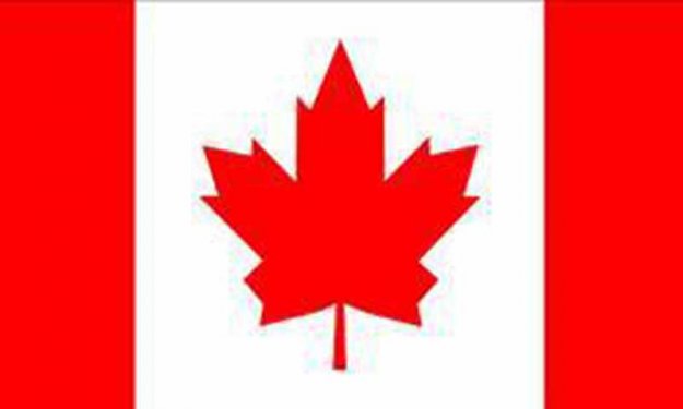 Her bayrağın bir hikayesi var