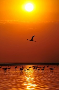 İç Anadolu'da bir mucize