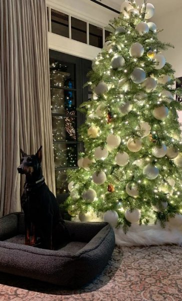 Kim Kardashian'ın ev partisi 