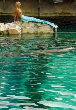 Hannah kendini deniz kızı sanıyor