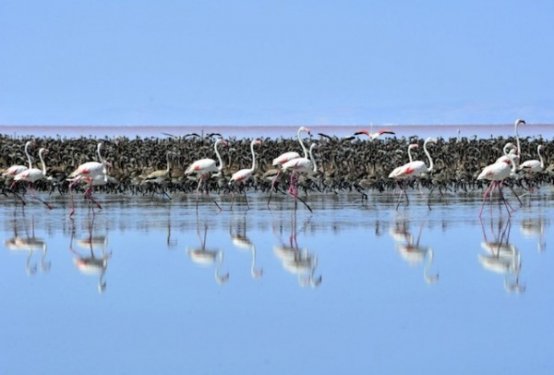İç Anadolu'da bir mucize