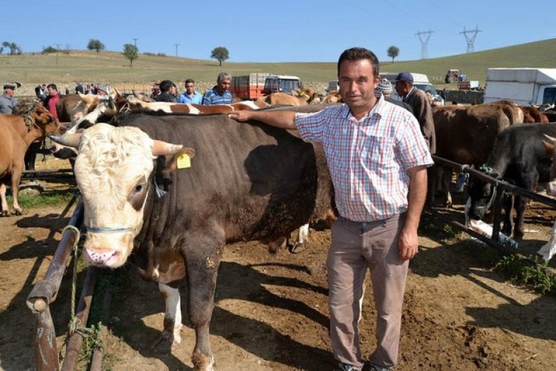 Kurbanlık satış fiyatları açıklandı