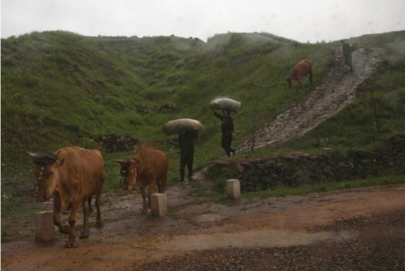 Kim Jong-Un'dan Associated Press muhabirine şartlı izin