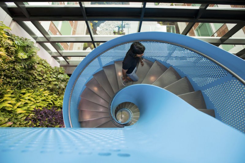 Microsoft'un Washington ofisi görüntülendi