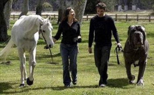 Dünyanın en ilginç olayları