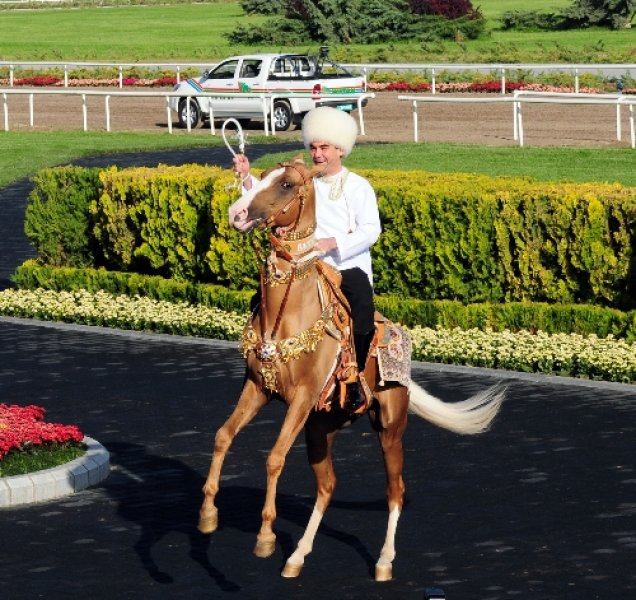 Dünyanın en güzel at cinsi: Ahal Teke