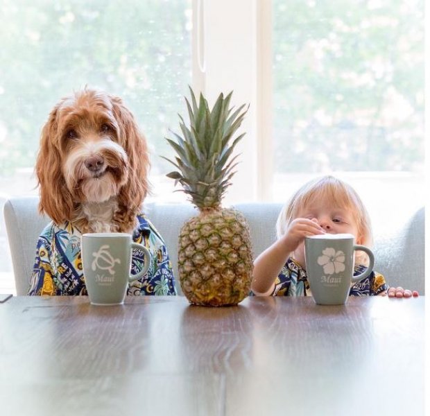 3 yaşındaki Buddy ve en yakın dostu aynı kaderi paylaşıyor